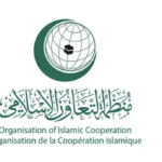 Screenshot 1447-08-13 at 11.41.28 pm